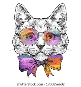 Kitten in glasses with bow tie. Hand drawn portrait. Vector illustration isolated on white