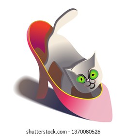 the kitten got into the red shoe