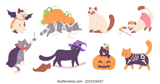 Gatito con disfraces de Halloween. Gatos con disfraz de sombreros fiesta de otoño de muertos, esqueletos graciosos de mascotas hechicería de gatitos negros o animal de bruja con escoba, imagen vectorial chillona del disfraz halloween