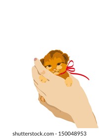 kitten in the hand