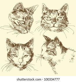 kitten - hand drawn collection