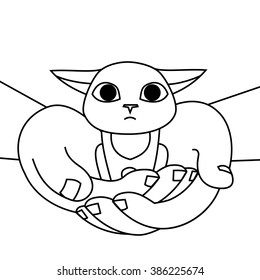 Kitten in hands - lost and found