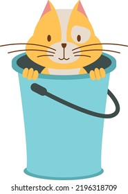 Kitten hiding in bucket. Funny cartoon pet character