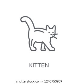 kitten linear icon. Modern outline kitten logo concept on white background from animals collection. Suitable for use on web apps, mobile apps and print media.