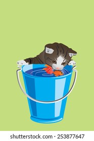 Kitten looking at a goldfish in a dip-bucket