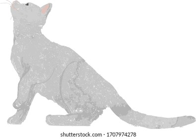 Kitten looking up vector material