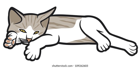 kitten lying on a white background 