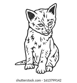 Kitten outline hand drawn. Cat outline hand drawn on white background isolated. Stock Vector Illustration. Cartoon style. 