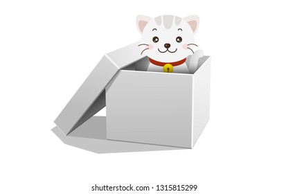 Kitten in the paper box