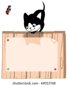 kitten. Place for your text. vertical