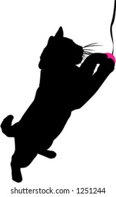 kitten playing with ball on string