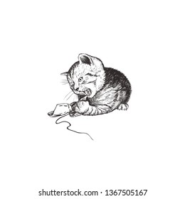 Kitten playing with a bow. Kitten sketch hand drawing. Kitten Vector Illustration