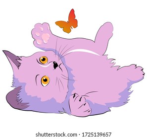the kitten is playing with butterfly