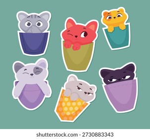 Gatinho no bolso. pegajoso com gatinho engraçado com emoções diferentes