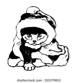 Kitten in Santa hat