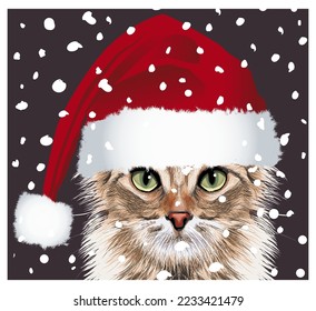 Kitten in Santa hat under snow - vector illustration
