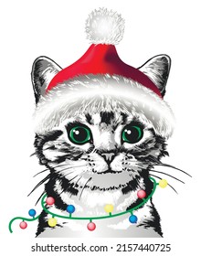 Kitten in Santa hat. Vector illustration. 