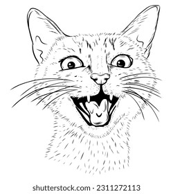 Kitten screams, hungry, sketch, vector. Pet head, Monochrome illustration. Stock image isolated on white background