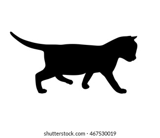 Kitten silhouette