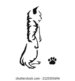 The kitten sits on its hind legs. Gestalt animal design