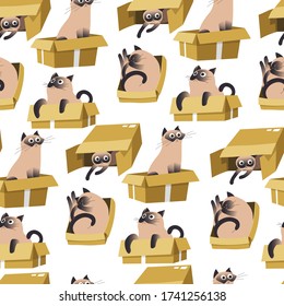 Kitten sitting in box, playful cat with furry coat and adorable facial expression. Kitty hiding behind cardboard container, feline domestic animal with curious muzzle. Pretty purebred vector in flat