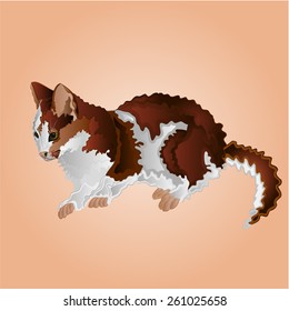 Kitten sitting vector illustration 