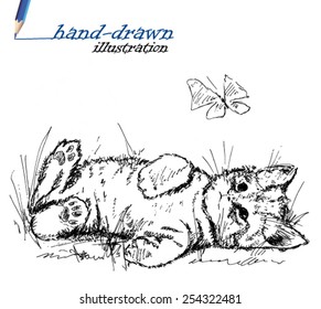 kitten sketch - hand-drawn illustration