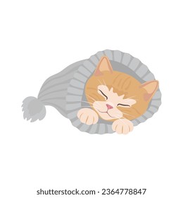 The kitten is sleeping. The red cat climbed into the hat and fell asleep. Color vector illustration.