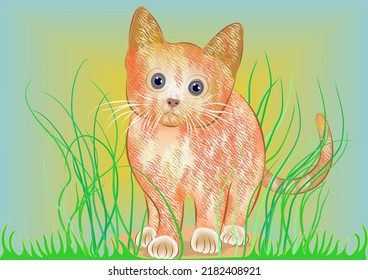 Kitten standing in the grass, a stylized study