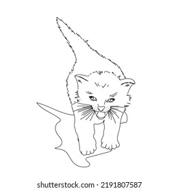 Kätzchen, Vektorgrafik. Ziehung. Line Art Sketch. Haustier. 