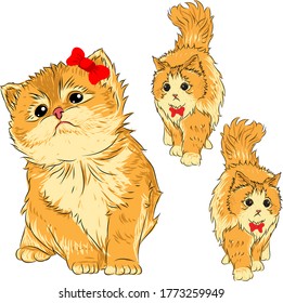 kitten with a very cute ribbon. suitable for cute designs that you will make