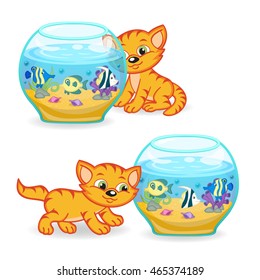  kitten walking around an aquarium with fishes - vector illustration, eps