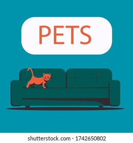 Kitten walking on the sofa. Pets. Flat vector illustration.