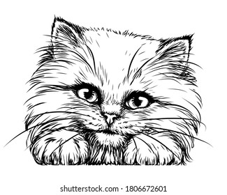 Kitten. Wall sticker. Black and white, graphic, artistic drawing of a cute fluffy kitten is pretty squinting.