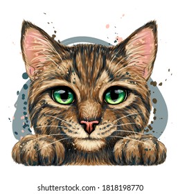 Kitten. Wall sticker. Color, graphic, artistic drawing of a cute striped kitten is pretty squinting. Separate layer. Watercolor style. Digital vector drawing