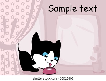 Kitten at a window drinking milk 6