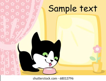 Kitten at a window drinking milk 7