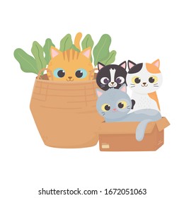 kittens in cardboard box and cat in basket. cartoon vector illustration