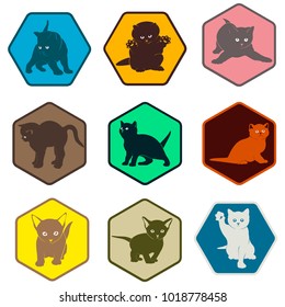 Kittens of emotion. Vector set of colored icons with kittens.