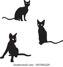 Kittens flat single colour isolated