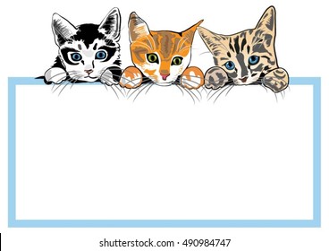 Kittens Peek. Frame For Text. Vector Drawing.