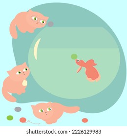 kittens play with balls and watch aquarium fish