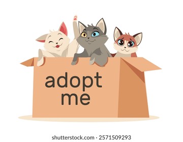 Kittens sitting in cardboard box. Homeless domestic animals find home, charity and adoption promotion, little cats, banner design or card, media post. Cartoon flat isolated vector concept