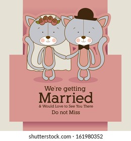 kitties design over gray  background vector illustration 