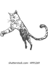 Kitty
