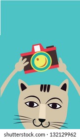 kitty with camera