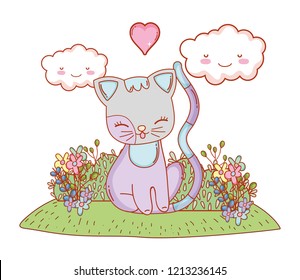 kitty cat cartoon