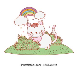 kitty cat cartoon
