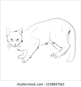 Kitty Cat coloring page Design for Kids Children stock vector style illustration Animal Coloring page