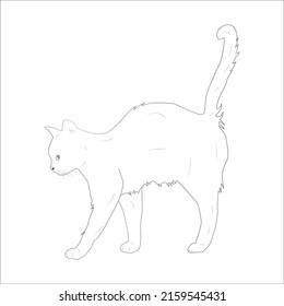Página de coloreo de gatos Kitty Página Diseño para niños Material infantil ilustración de estilo vectorial página Colores animales 